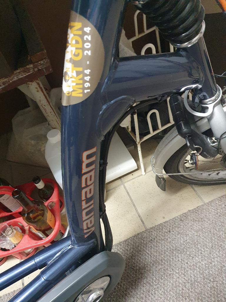 ZGAN elektrische driewieler VAN RAAM, Ophalen of Verzenden, Zo goed als nieuw, Van Raam