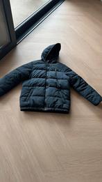 Donkerblauwe winterjas Lyle & Scott 15/16 jaar, Ophalen of Verzenden, Zo goed als nieuw, Jongen, Jas
