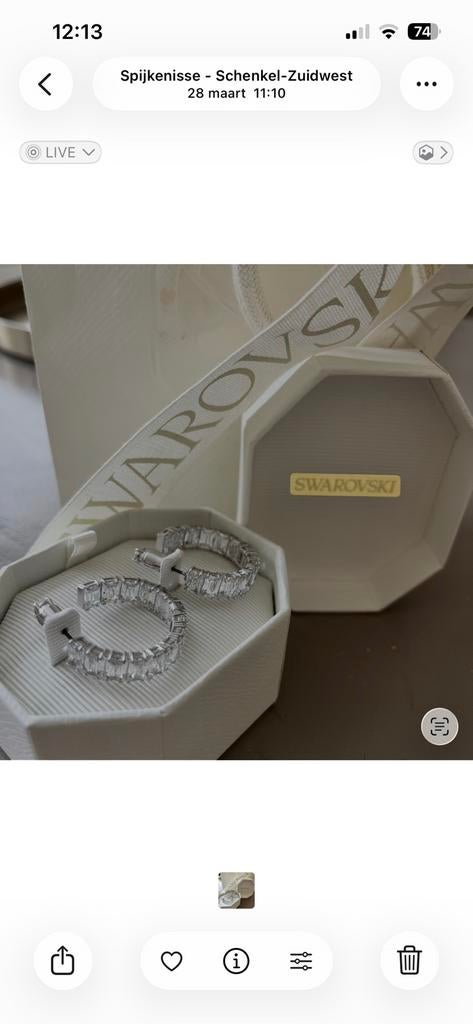 Zilveren oorbellen, Sieraden, Tassen en Uiterlijk, Oorbellen, Nieuw, Ophalen of Verzenden, Knopjes of Stekers, Zilver