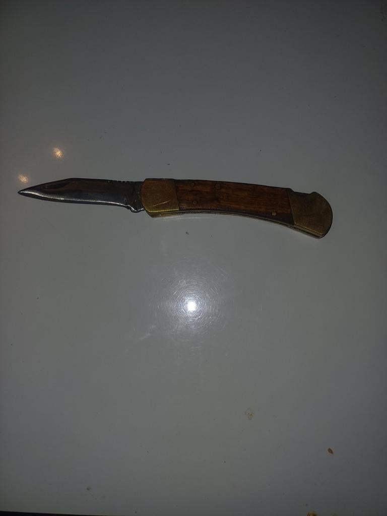 Homeobrand Kinpmes Zakmes - 21cm Totaal, Ophalen