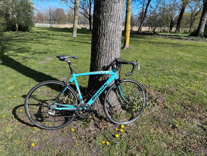Bianchi racefiets, Fietsen en Brommers, Fietsen | Racefietsen, Gebruikt, Dames, Overige merken, Meer dan 20 versnellingen, 28 inch