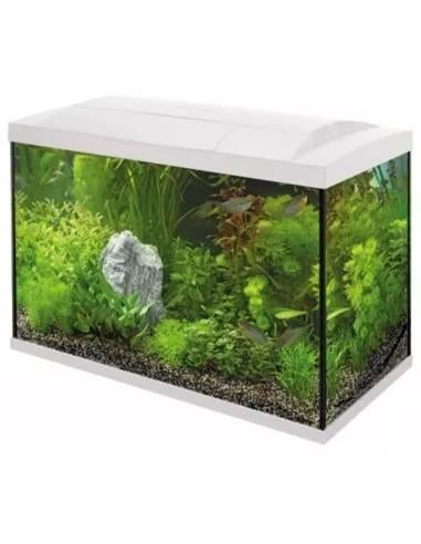 Gezocht, Dieren en Toebehoren, Ophalen, Zo goed als nieuw, Leeg aquarium