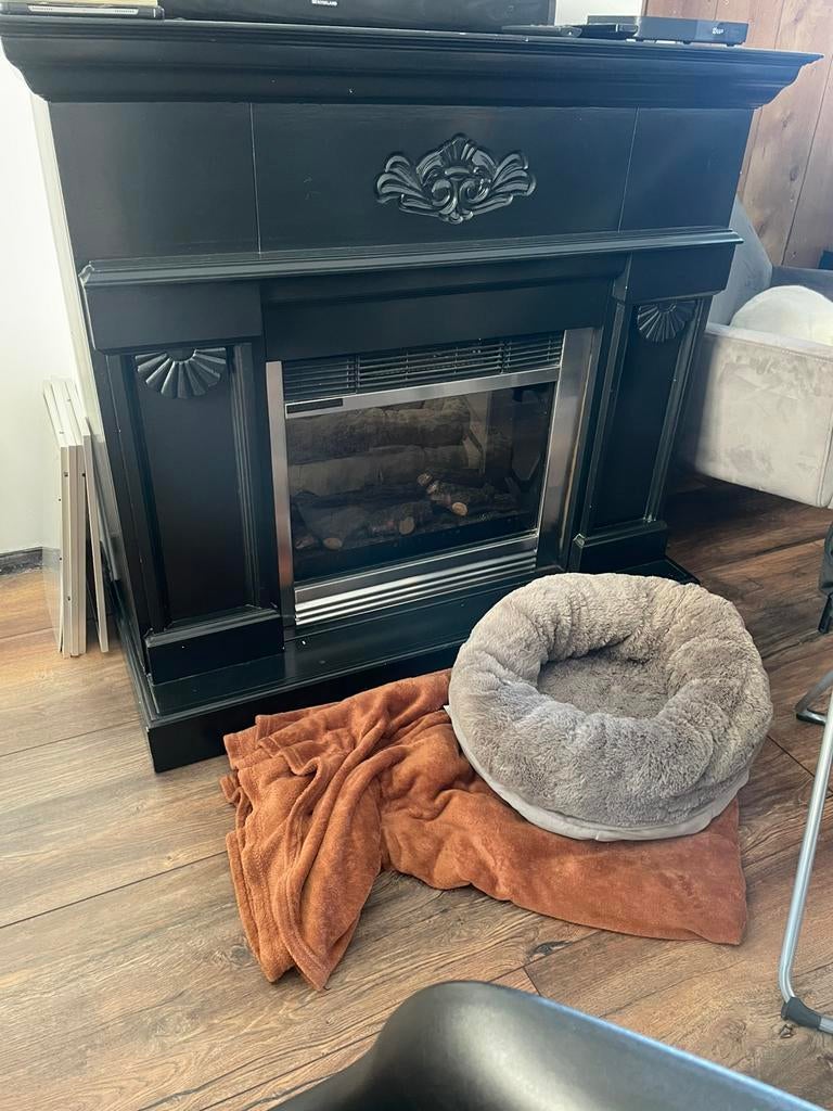 Sier haard, Ophalen, Zo goed als nieuw, Vrijstaande haard, Elektrische haard