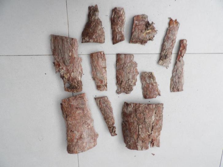 NIEUW 12 mooie droge stukken HOUTSCHORS ( 6 ), Hobby en Vrije tijd, Knutselen, Nieuw, Materiaal, Ophalen of Verzenden