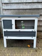 Zgan konijnenhok met konijntje, 110 cm of meer, Ophalen of Verzenden, Zo goed als nieuw, 90 cm of meer