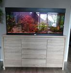 Aquarium 120x40x50 te koop, Dieren en Toebehoren, Ophalen, Gebruikt, Gevuld zoetwateraquarium