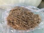2e snee Kuilgras van kleigrond, Dieren en Toebehoren, Ophalen of Verzenden