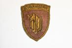 italie embleem genie school oud jaren 40 ?, Verzenden, Landmacht, Overige gebieden, Embleem of Badge