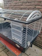 Knaagdierenkooi (zie omschrijving), Kooi, Hamster, Ophalen, Minder dan 60 cm