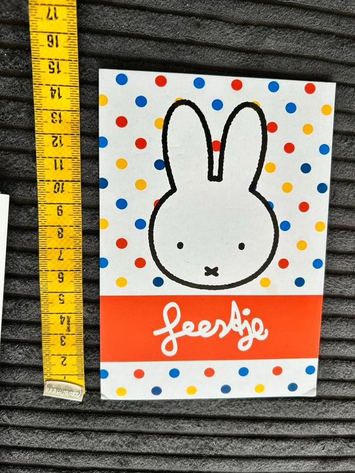 A.10 Kaart illustr Nijntje Feest Dick Bruna, Ophalen of Verzenden, Ongelopen