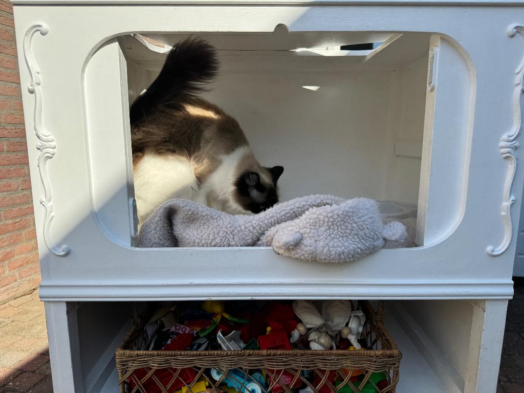 Katten mand hokje ren, Dieren en Toebehoren, Ophalen, Gebruikt