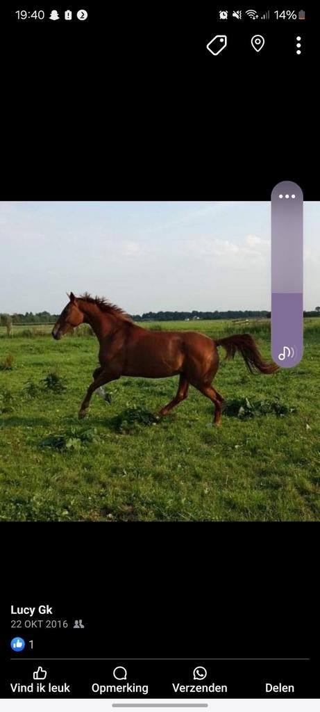 Stalhulp/stalmedewerker aangeboden!