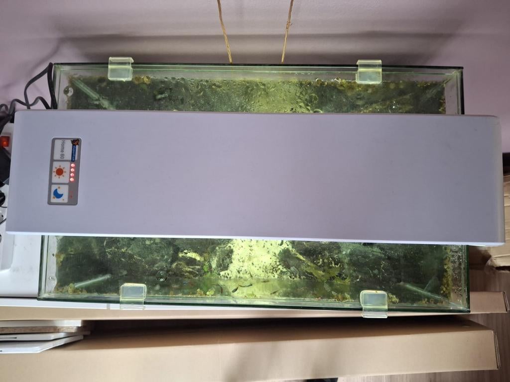 Superfish home 65, Dieren en Toebehoren, Vissen | Aquaria en Toebehoren, Ophalen, Inclusief planten, Gebruikt, Gevuld zoetwateraquarium