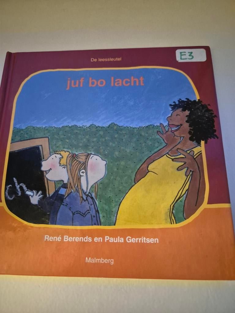Juf Bo Lacht - De Leessleutel E3, Ophalen of Verzenden, Gelezen, René Berends en Paula Gerritsen, Fictie algemeen