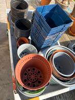 Gratis bloempotjes, Ophalen of Verzenden, Zo goed als nieuw, Kweeklamp