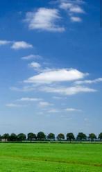 Plekje gezocht, Dieren en Toebehoren, Stalling en Weidegang, Weidegang, 4 paarden of pony's of meer