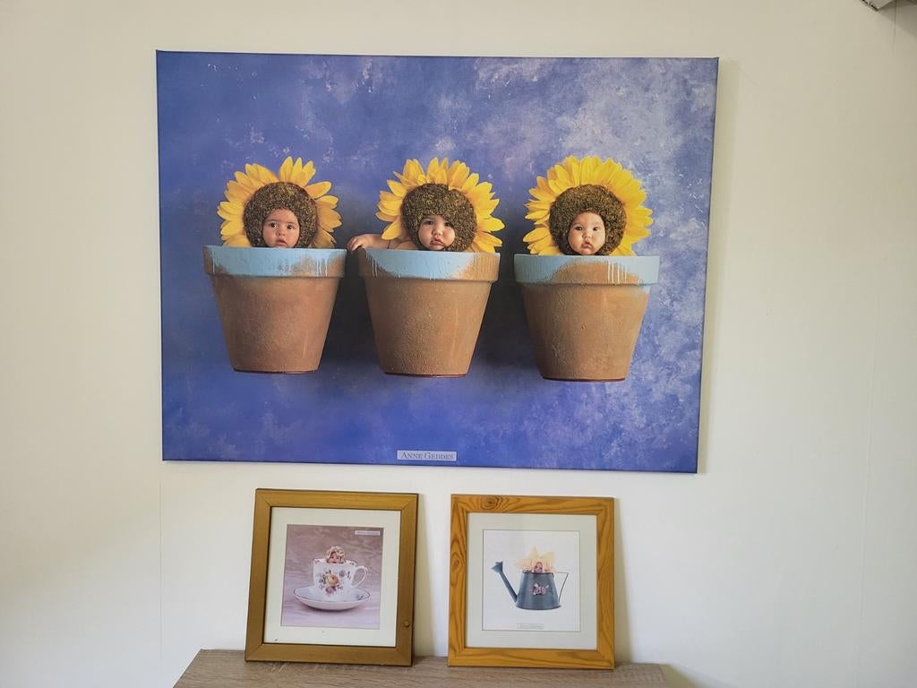 Anne Geddes schilderijen. Groot 80x60cm. 2 x25cm, Ophalen, Zo goed als nieuw, Foto of Poster, 75 cm of meer