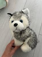 Schattige Husky Knuffel - Zo Goed als Nieuw, Ophalen of Verzenden, Zo goed als nieuw, Hond