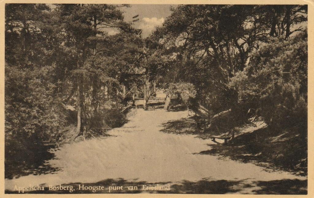 07177 Appelscha - Bosberg Hoogste punt van Friesland, Verzamelen, Verzenden, 1940 tot 1960, Gelopen, Friesland