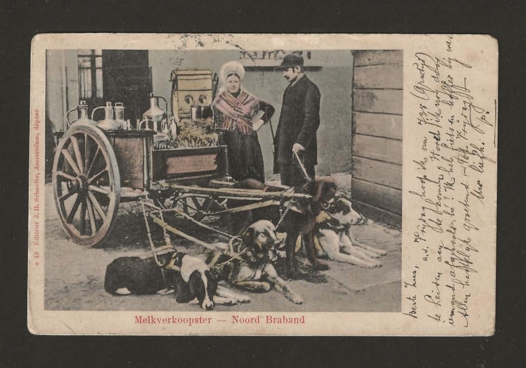 Noord Brabant: melkverkoopster en hondenkar, Verzamelen, Ansichtkaarten | Nederland, Ophalen of Verzenden, Voor 1920, Gelopen