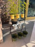 Dille & Kamille kruidenrek met bakjes - Zo goed als nieuw!, Tuin en Terras, Ophalen, Zo goed als nieuw