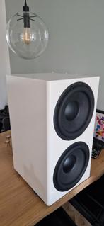 Te Koop high end subwoofer hypex peerless 12inch, Ophalen of Verzenden, 120 watt of meer, Subwoofer, Overige merken
