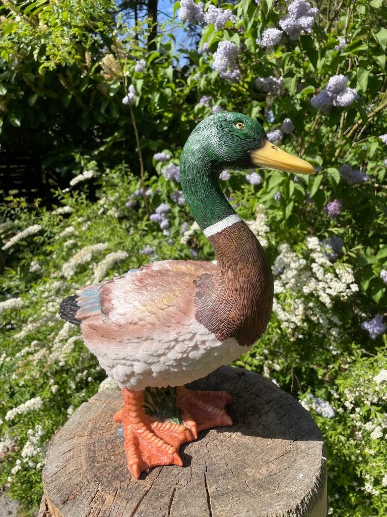 Beeld Eend, tuin, zwembad, vijver, boerderij 40cm, Tuin en Terras, Tuinbeelden, Ophalen, Nieuw, Kunststof, Dierenbeeld