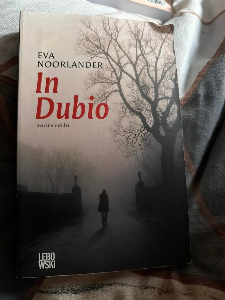 NK1.  Eva Noorlander - In Dubio, Ophalen of Verzenden, Zo goed als nieuw, Nederland, Eva Noorlander