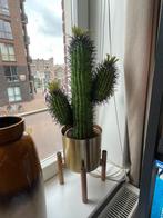 Nep cactus + bloempot, Ophalen, Rond, Aardewerk, Minder dan 40 cm