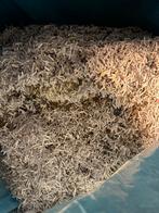 Confetti 5kg per zak, Ophalen, Zo goed als nieuw, Versiering