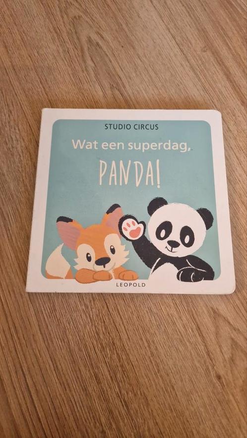 Wat een superdag, Panda!, Boeken, Kinderboeken | Baby's en Peuters, Zo goed als nieuw, Ophalen