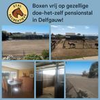 Stalling aangeboden - Delfgauw, Dieren en Toebehoren, Stalling en Weidegang, Stalling