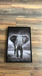 Olifant canvas, Ophalen of Verzenden, Zo goed als nieuw