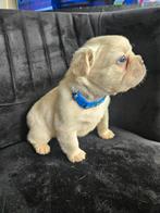 Fluffy franse bulldog pups, CDV (hondenziekte), 8 tot 15 weken, Bulldog, Meerdere