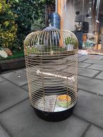 Vogelkooien te koop, Dieren en Toebehoren, Ophalen of Verzenden, Zo goed als nieuw, Metaal, Vogelkooi