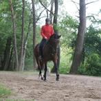 Gediplomeerde instructie en amazone aangeboden OV/GLD, Dieren en Toebehoren, Stalling en Weidegang
