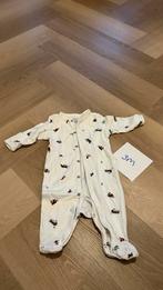 Ralph Lauren Baby Pakje Maat 50, Kinderen en Baby's, Ophalen of Verzenden, Gebruikt, Jongetje of Meisje, Pakje