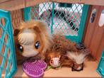 Mama suprise cavia, Kinderen en Baby's, Speelgoed | Overig, Ophalen, Zo goed als nieuw, Jongen of Meisje