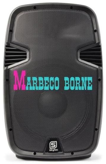 Actieve Speaker, Luidspreker 15", USB, SD, SPJ-1500A MP3 Bv beschikbaar voor biedingen