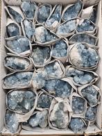 Partij van celestien clusters 7,514 kg, Ophalen of Verzenden, Mineraal