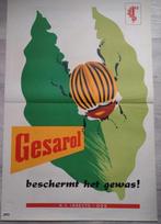 Reclame.  Gerasol...beschermt het gewas!, Verzamelen, Posters, Rechthoekig Staand, Deurposter of groter, Ophalen of Verzenden
