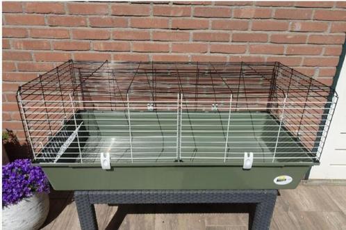 Mooie GROTE groene kooi met hooiruif !, Dieren en Toebehoren, Knaagdieren en Konijnen | Hokken en Kooien, Zo goed als nieuw, Kooi