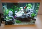 superfish panorama 50  (15, euro ), Ophalen, Nieuw, Leeg aquarium