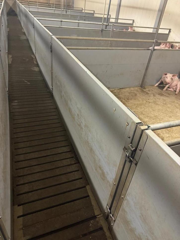 Kunststof hokinrichting vleesvarkens [775], Dieren en Toebehoren, Stalling en Weidegang