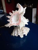 Vintage schelpen lamp, Ophalen