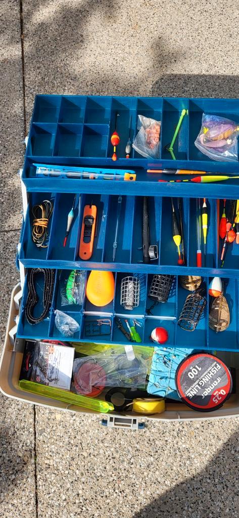 Viskoffer met accessoires, Watersport en Boten, Hengelsport | Karpervissen, Gebruikt, Complete set, Ophalen