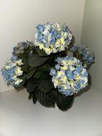 Kunstplant blauwe hortensia, Ophalen of Verzenden, Gebruikt, Binnen