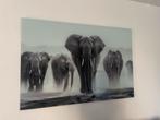Olifanten Glazen Schilderij 120x80, Ophalen, Nieuw, 100 tot 125 cm, Foto of Poster