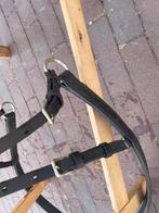 Achter broek Enkel span, Ophalen of Verzenden, Zo goed als nieuw, Dressuur