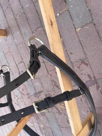 Achter broek Enkel span beschikbaar voor biedingen